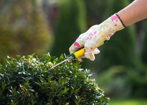 Beautifully trimmed hedges enhancing garden aesthetics