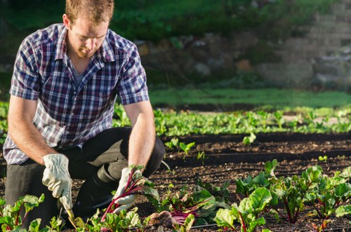 Professional landscaper designing a garden