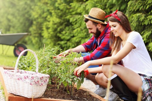 Gardening Barkingside planting flowers in spring
