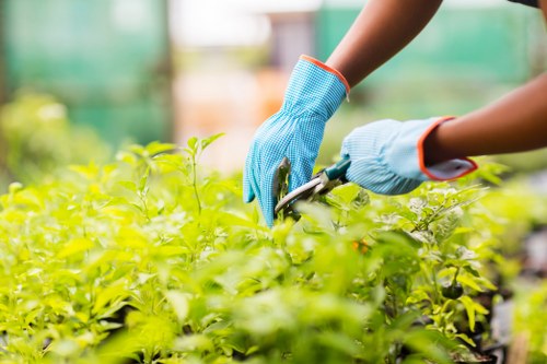 Gardener inspecting a garden at the start of service