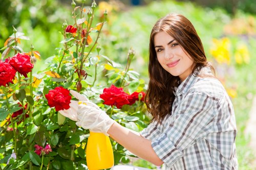 Garden clearance crew removing green waste from a small backyard