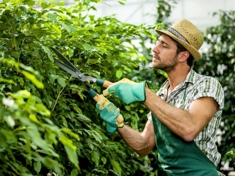 Seasonal lawn care in Barkingside