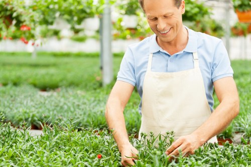 Professional landscaper maintaining a vibrant garden in Barkingside