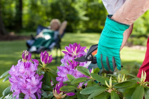 Professional lawn mower servicing a backyard