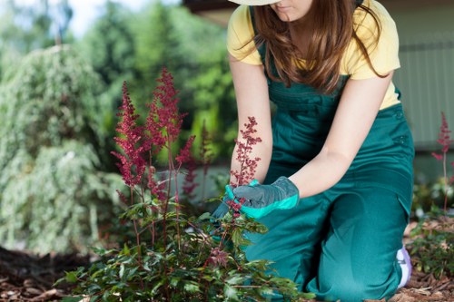 Screen-reader user navigating a gardening resource on a mobile device