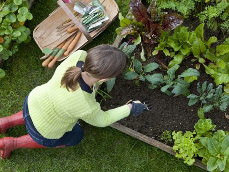 Compliance checklist and eco-friendly gardening practices