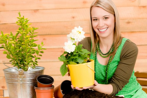 Gardener measuring a hedge before work starts