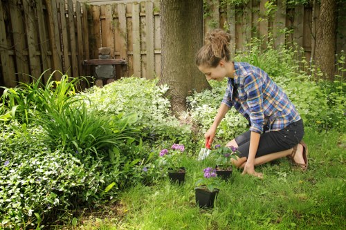 Our staff planting in a lush Barkingside garden