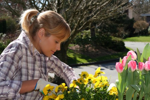 Technician using tools for precise hedge trimming
